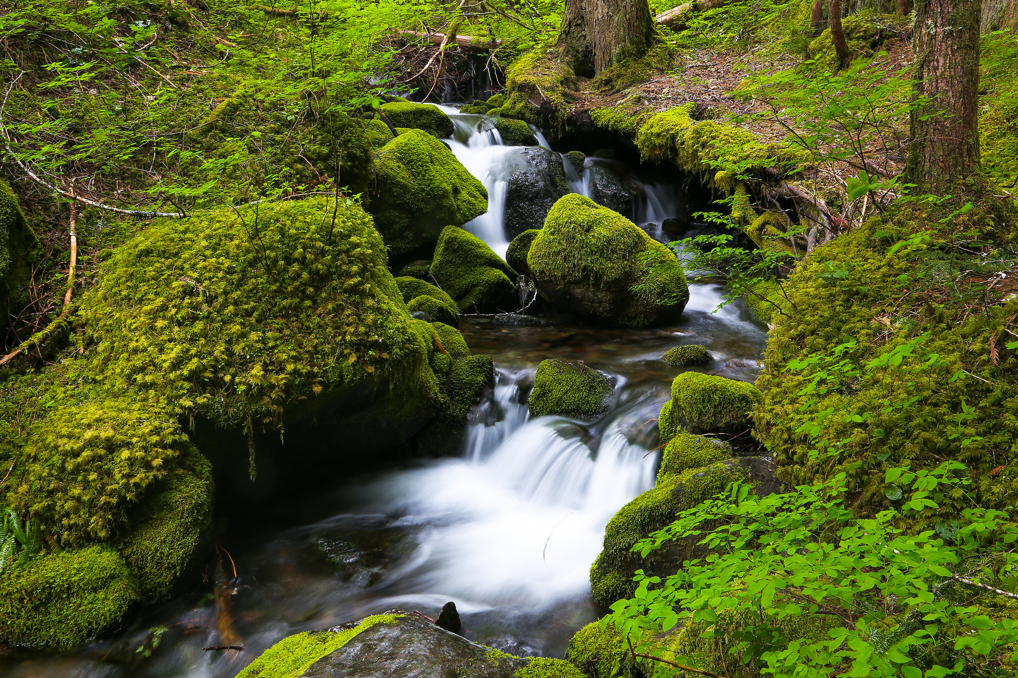 green